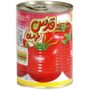 قدس خراسان